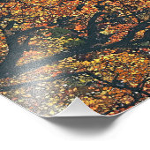 秋の木 フォトプリント            (角)