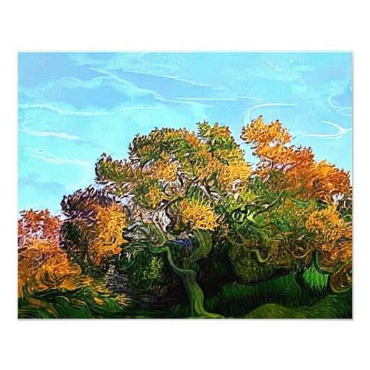 秋の木 フォトプリント            (正面)