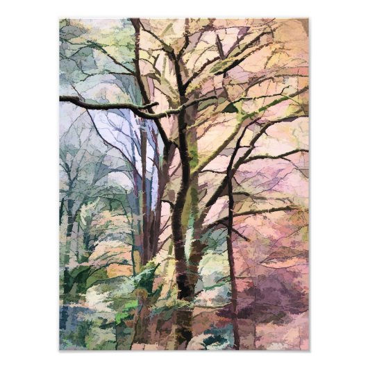 秋の木 フォトプリント            (正面)