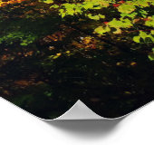 秋の木 ポスター (角)