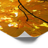 秋の木 ポスター (角)