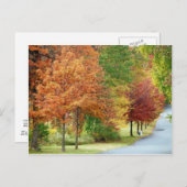 秋の木 ポストカード (正面/裏面)