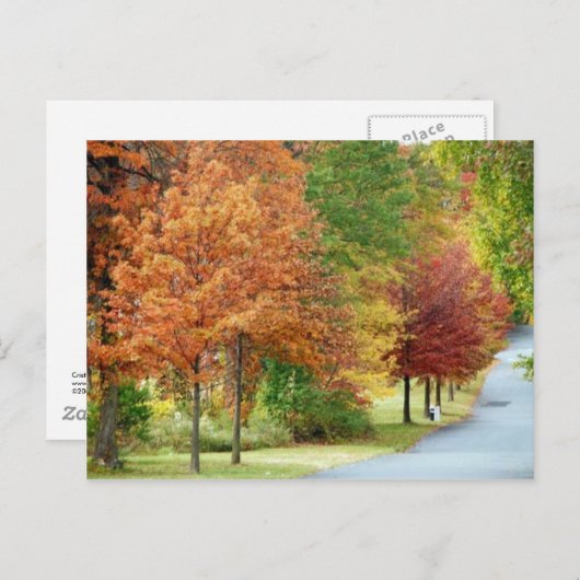 秋の木 ポストカード (正面/裏面)