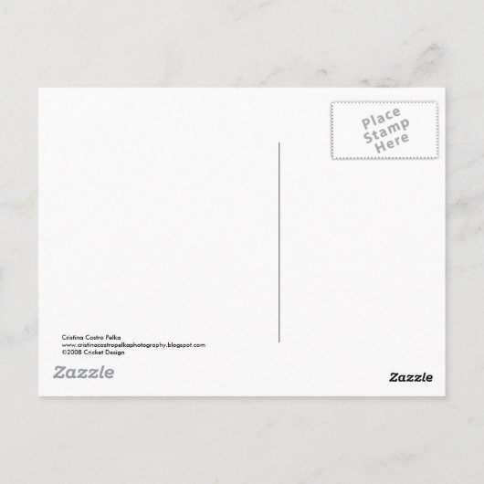 秋の木 ポストカード (裏面)