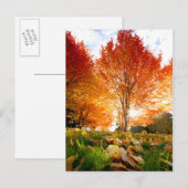 秋の木 ポストカード (正面/裏面)
