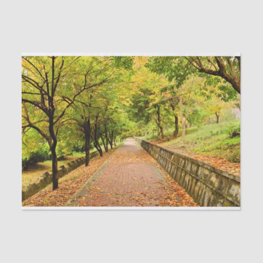 秋の木 薄葉紙 (正面)