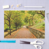 秋の木 薄葉紙 (クラフト)