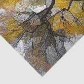 秋の木　黄色と灰色の葉　空 薄葉紙 (詳細)