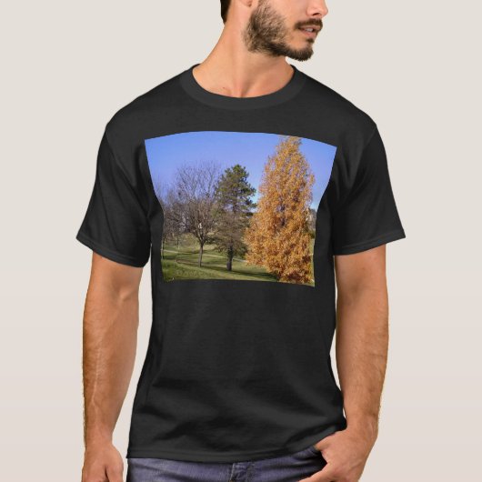 秋の木 Tシャツ (正面)