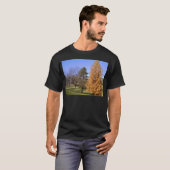 秋の木 Tシャツ (正面フル)