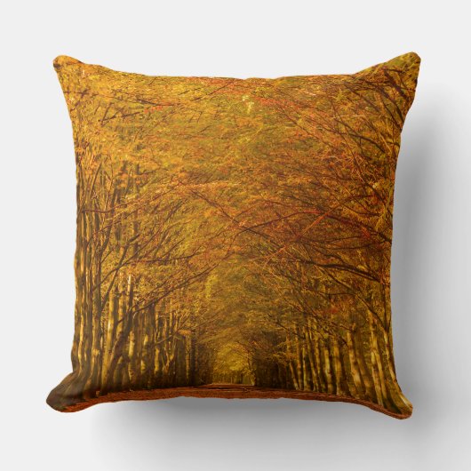 秋の枕の森林を通した歩く道 クッション (正面)
