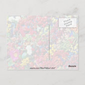 秋の果実の花 ポストカード (裏面)