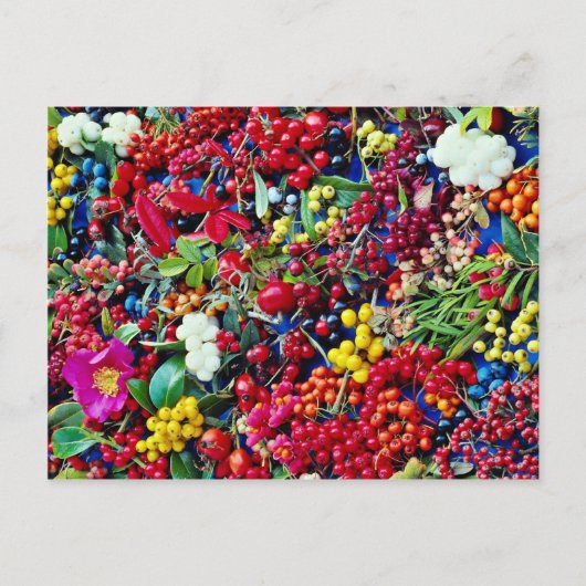 秋の果実の花 ポストカード (正面)