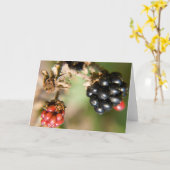 秋の果実グリーティングカード カード (黄色い花)