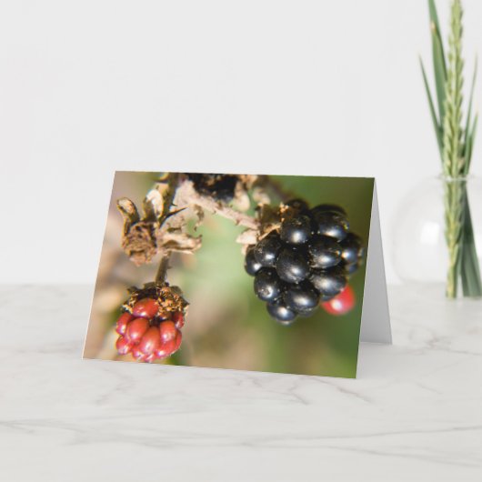 秋の果実グリーティングカード カード (正面)