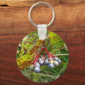 秋の果実 キーホルダー (正面)