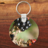 秋の果実 キーホルダー (正面)