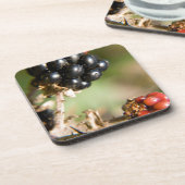 秋の果実 コースター (左側)