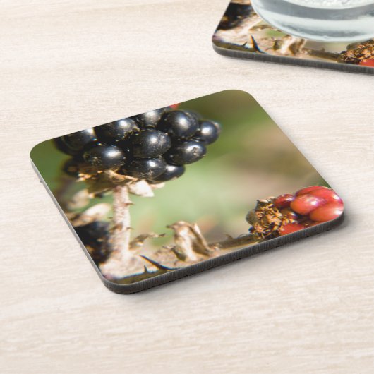 秋の果実 コースター (左側)