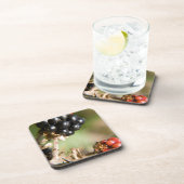 秋の果実 コースター (右側)