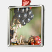 秋の果実 メタルオーナメント (左)