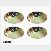 秋の果実 楕円形シール (シート)