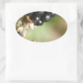 秋の果実 楕円形シール (バッグ)