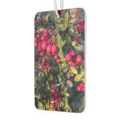 秋の果物 カーエアーフレッシュナー (左)