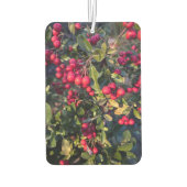 秋の果物 カーエアーフレッシュナー (裏面)