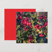 秋の果物 招待状 (正面/裏面)