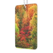 秋の栄光 カーエアーフレッシュナー (左)