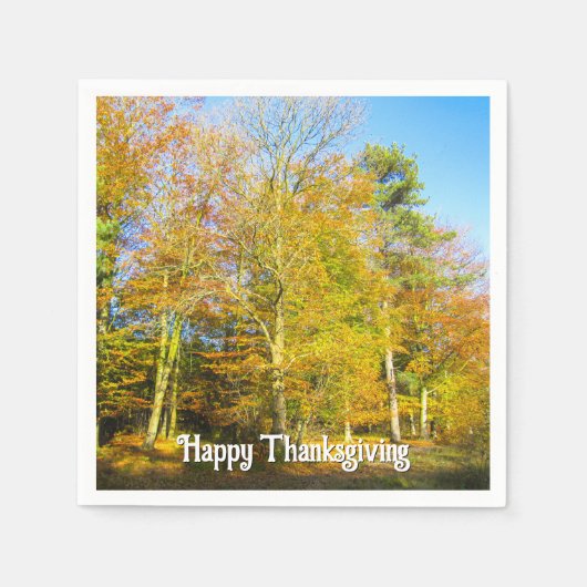 秋の森とサンシャイン – カスタムサンクスギビング スタンダードカクテルナプキン (正面)