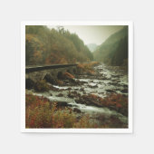 秋の森と川の風景 スタンダードカクテルナプキン (正面)