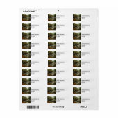 秋の森と川の風景 ラベル (フルシート)