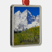 秋の森にマルーン·ベルス《植物》アスペン。 メタルオーナメント (右)