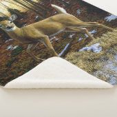 秋の森に生息するシジラシカ シェルパブランケット (3/4)