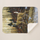 秋の森に生息するシジラシカ シェルパブランケット (正面(横))