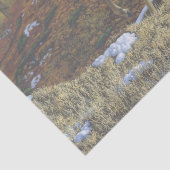 秋の森に生息するシジラシカ 薄葉紙 (詳細)