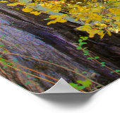 秋の森のキャビン ポスター (角)