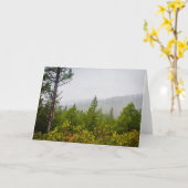 秋の森のグリーティングカ空白のード カード (黄色い花)
