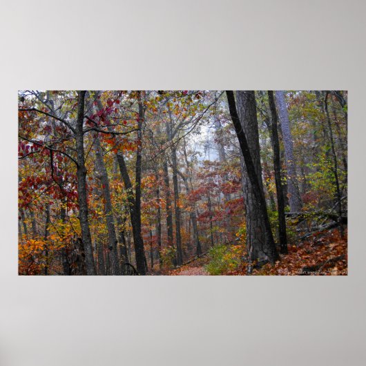 秋の森のトレイルのポスターに霧を浸食 ポスター (正面)