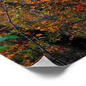 秋の森のポスタカラフルーの霧の道 ポスター (角)