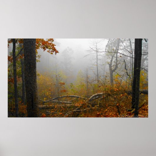 秋の森のポスターに現れる霧 ポスター (正面)