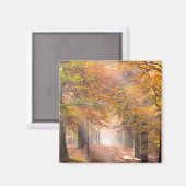 秋の森のマグネットのサンビーム マグネット (正面/裏面)