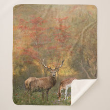 秋の森の中で枯れる