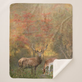 秋の森の中で枯れる シェルパブランケット