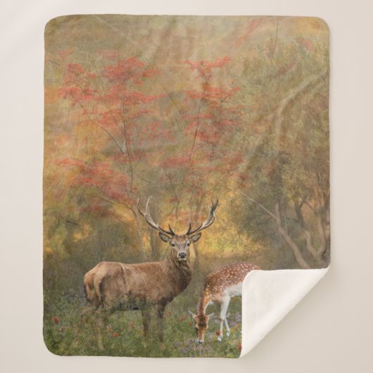 秋の森の中で枯れる シェルパブランケット (正面)