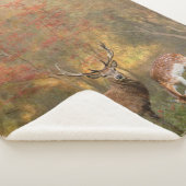 秋の森の中で枯れる シェルパブランケット (3/4)