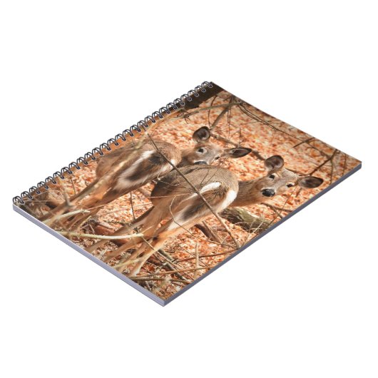 秋の森の中で白い尾の雌鹿と子鹿 ノートブック (左側)