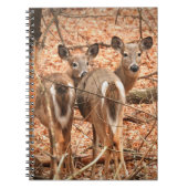 秋の森の中で白い尾の雌鹿と子鹿 ノートブック (正面)
